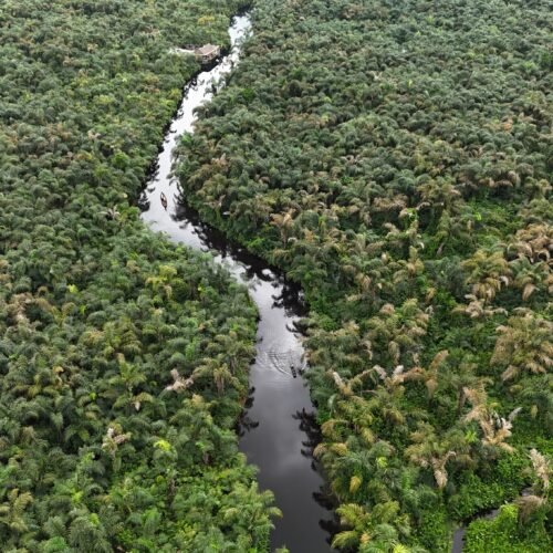 Rivière noire
